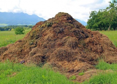 Навоз является одним из наиболее ценных источников питательных веществ для растений. В этой статье мы рассмотрим, для чего нужен навоз и как его пр...