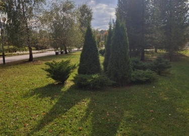 Современный сад &mdash; это уже не просто участок для выращивания овощей и ягод, а многофункциональное пространство, ...