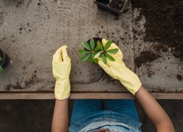 Вы получили участок. Первое, что нужно сделать, - определить стороны света. И даже дом, хозблок и другие постройки ставить так, чтобы они не затеня...