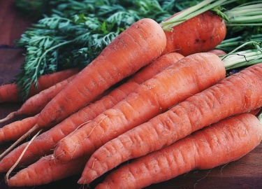 Садово-огородные общества представляют собой большие участки земли, где располагается много огородов. Садово-огородные общества располагаются обычно на городских окраинах.
