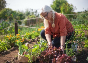 Удобрения &mdash; вещества для питания растений и повышения плодородия почв. Их эффект обусловлен тем, что они предоставляют растениям один или несколько дефицитных химических компонентов.
