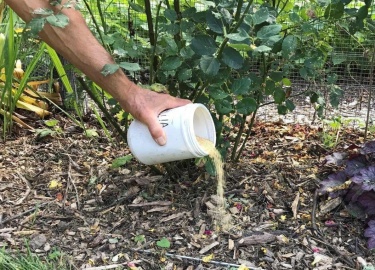 Натуральные подкормки играют важную роль в обеспечении здоровья и продуктивности растений. Они не только способствуют росту, но и улучшают структур...