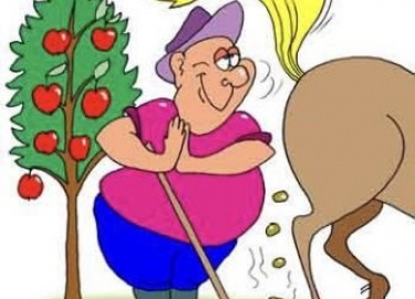 Правильный выбор типа навоза для конкретной культуры является ключевым фактором для успешного выращивания растений. В данной статье мы рассмотрим, ...