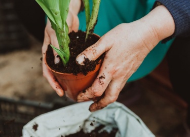При наступлении заморозков не всегда помогает даже парник с двойной пленочной защитой. Приходится решать проблему обогрева парника с помощью водяно...